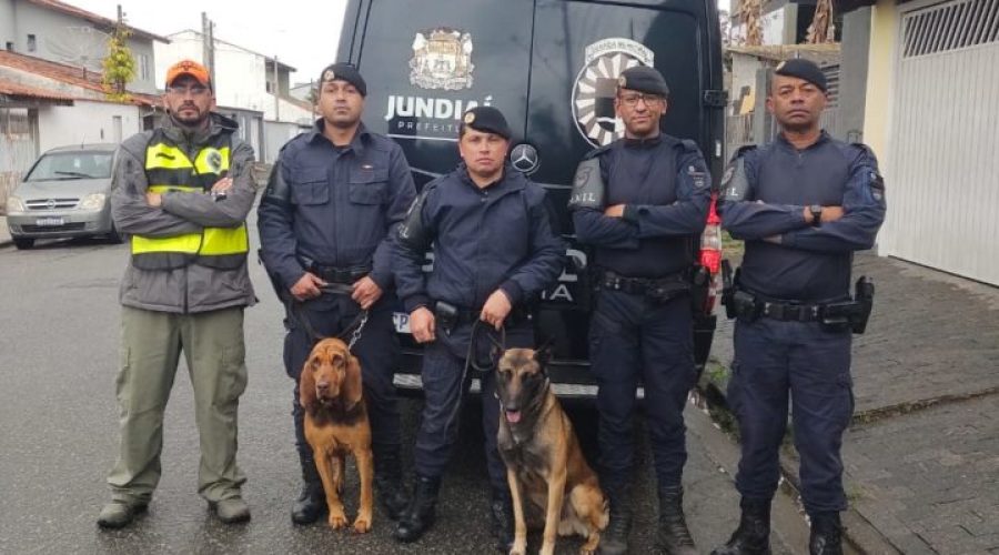 Cadela K9 Cali, da Guarda Municipal de Jundiaí, recebe certificação internacional em busca de pessoas desaparecidas