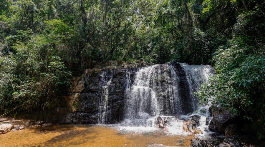 Últimos dias para inscrição no Conselho de Gestão da Serra do Japi