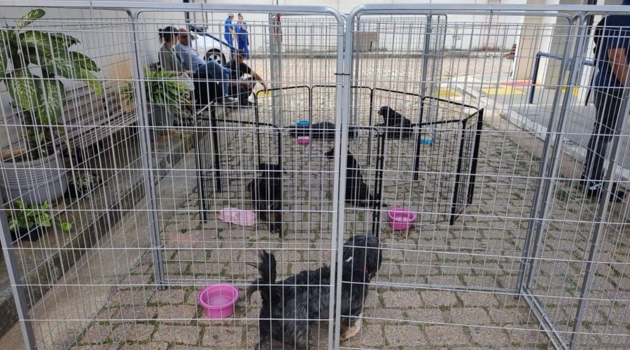 Feira do DEBEA leva adoção e consciência animal a colaboradores