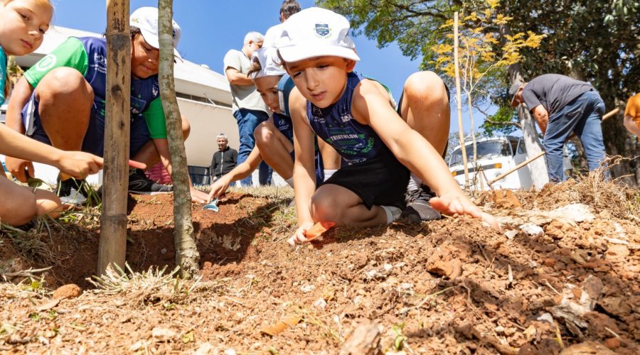 Bolão recebe plantio de árvores na Semana da Árvore&nbsp;