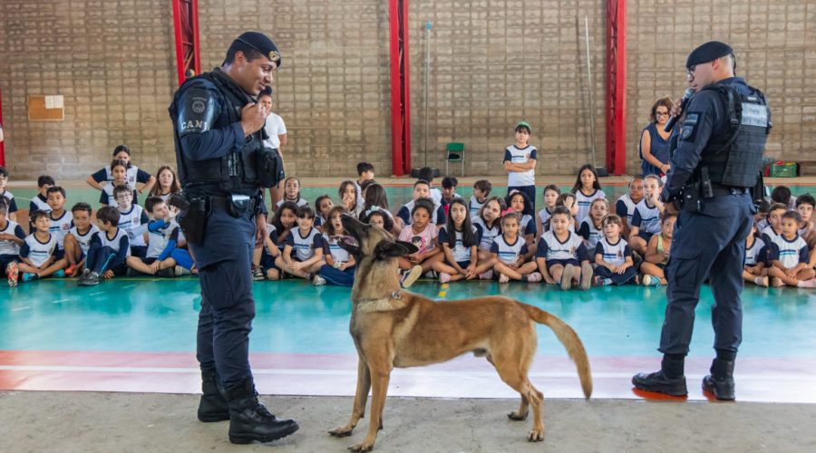 Canil da GMJ encanta alunos da EMEB Antônio de Pádua Giaretta com Show Dog