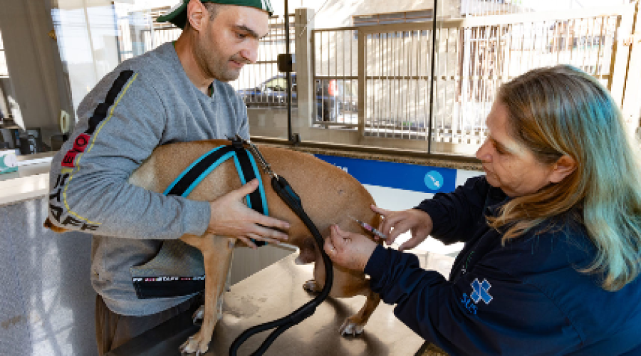 Dia Mundial da Luta contra a Raiva: Jundiaí reforça importância da prevenção