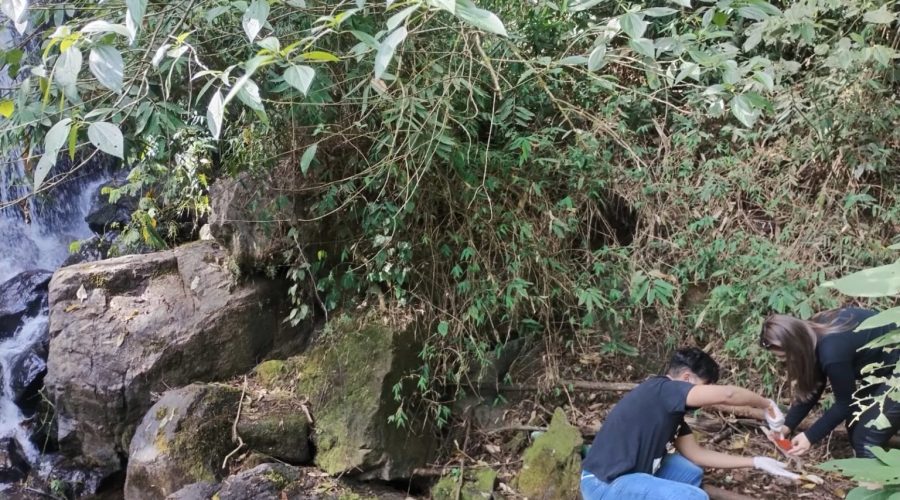 Fundação Serra do Japi apoia pesquisa sobre qualidade do solo em áreas verdes de Jundiaí