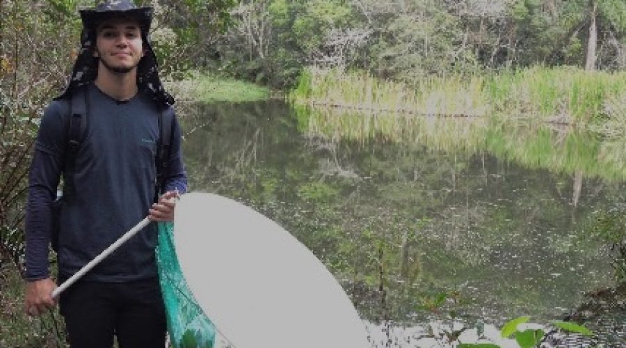 Nova espécie de vespa é descoberta na Serra do Japi e recebe nome em homenagem à região