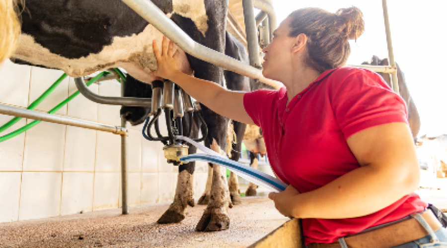 Queijaria Capriolês coloca Jundiaí entre as novas Rotas do Queijo de São Paulo