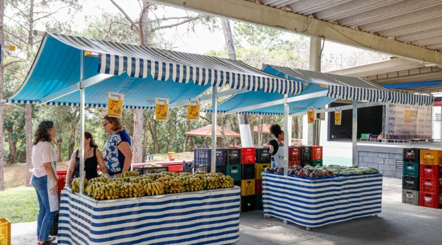 Vila de Oportunidades é inaugurada nesta quinta-feira (11)