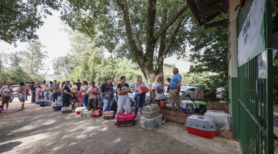 SMPUMA avança em projetos urbanos, ambientais e bem-estar animal em 2025