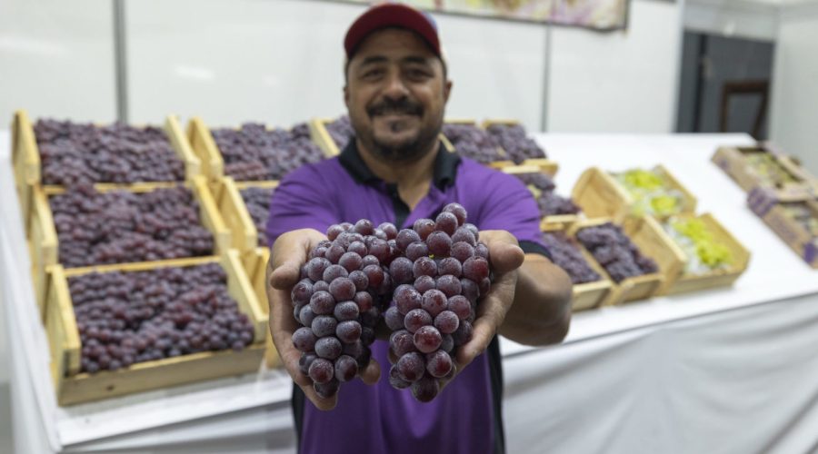 Festa da Uva vende 19 toneladas de frutas no 1º fim de semana