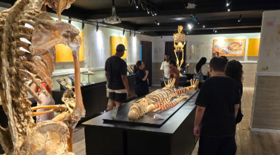 Museu do Corpo Humano recebe grupo do CAPS II em visita inclusiva