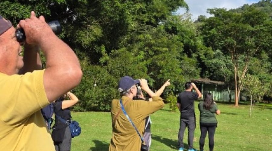 Observação de aves ganha força em Jundiaí com encontros gratuitos no Jardim Botânico