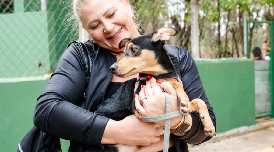 Guia prático: como acionar proteção animal em Jundiaí