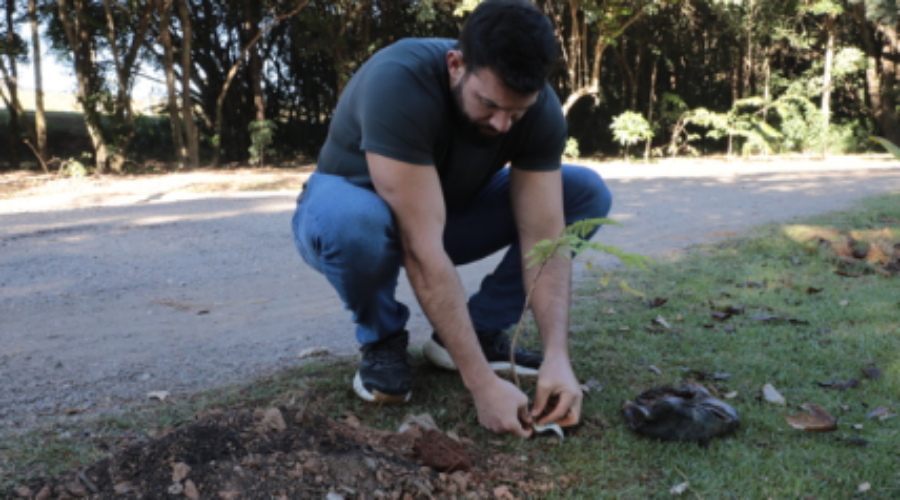 Plantio de mudas e educação ambiental marcam programação do Mês do Meio Ambiente em Jundiaí