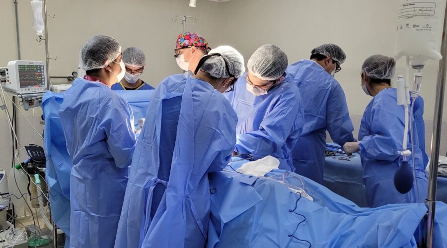 Quanto tempo dura um órgão transplantado?