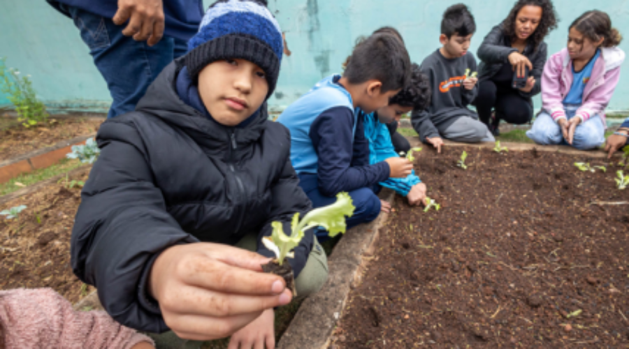 Vale Verde leva atividades de horta às escolas de Jundiaí
