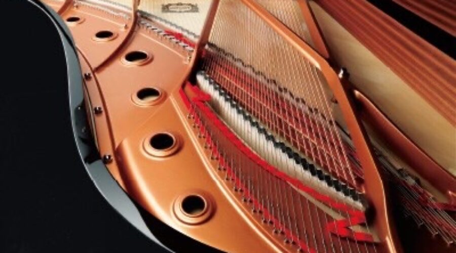 Pinacoteca recebe audição gratuita de música e poesia
