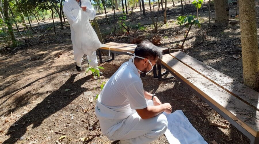 Jundiaí intensifica monitoramento e prevenção à febre maculosa